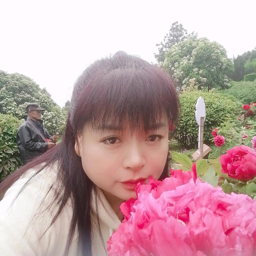 阳雨