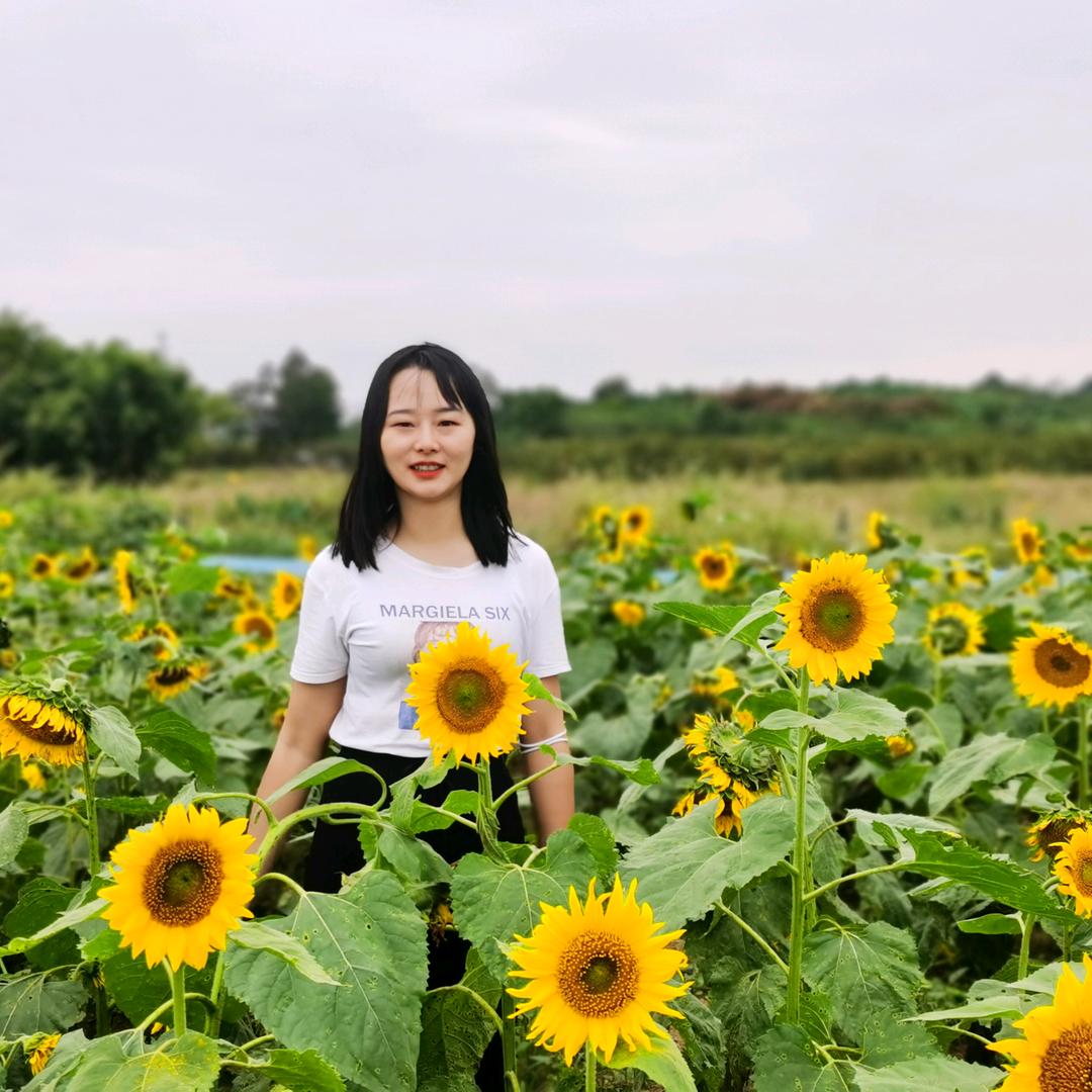 桃桃美食