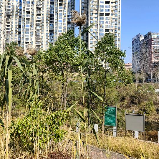 新旷神怡·立志高远