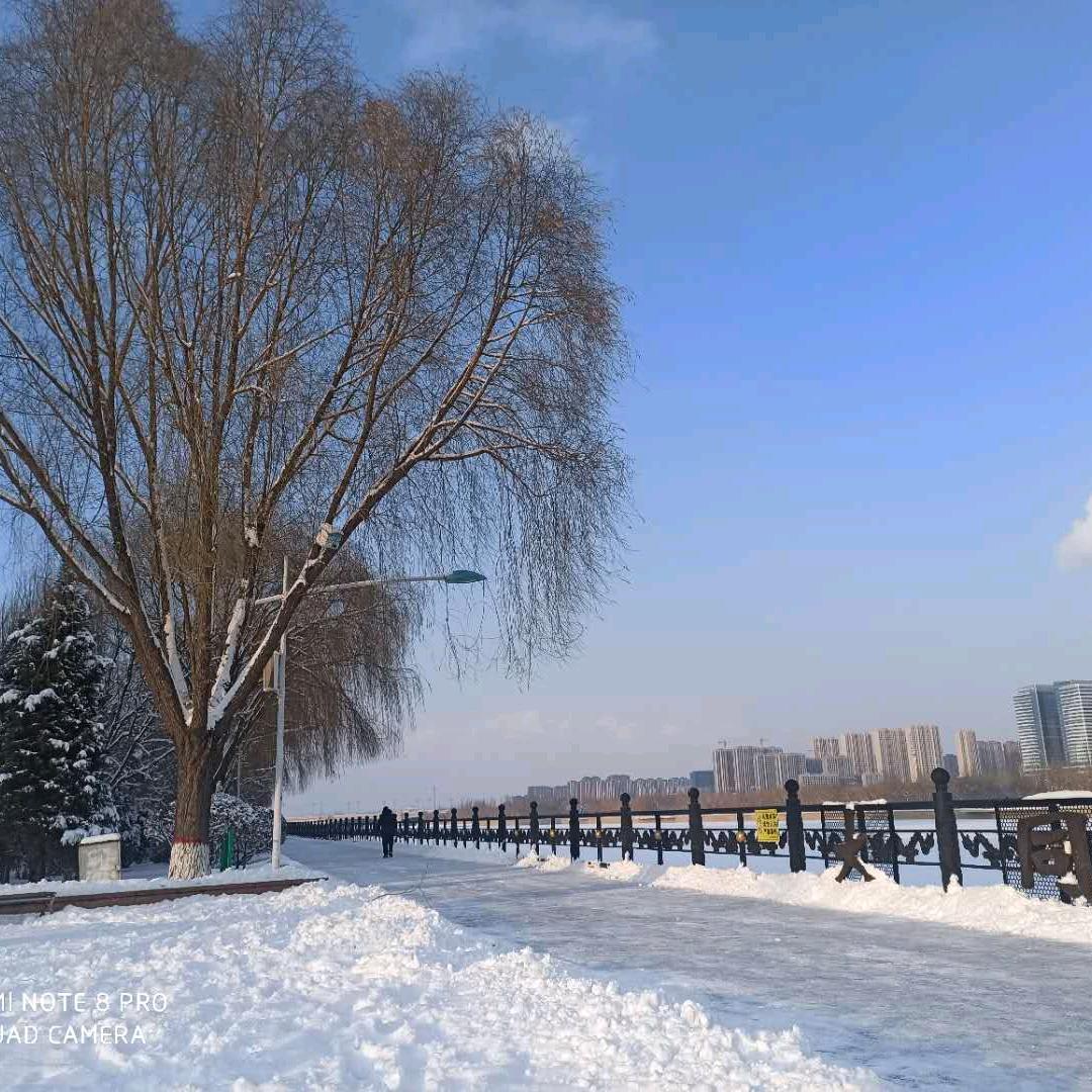 黑色旋风