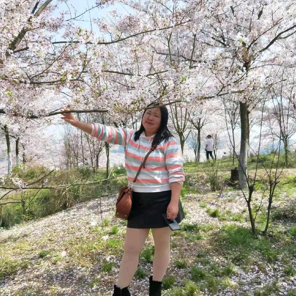 为什么受伤的人总是我