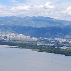 杨仔