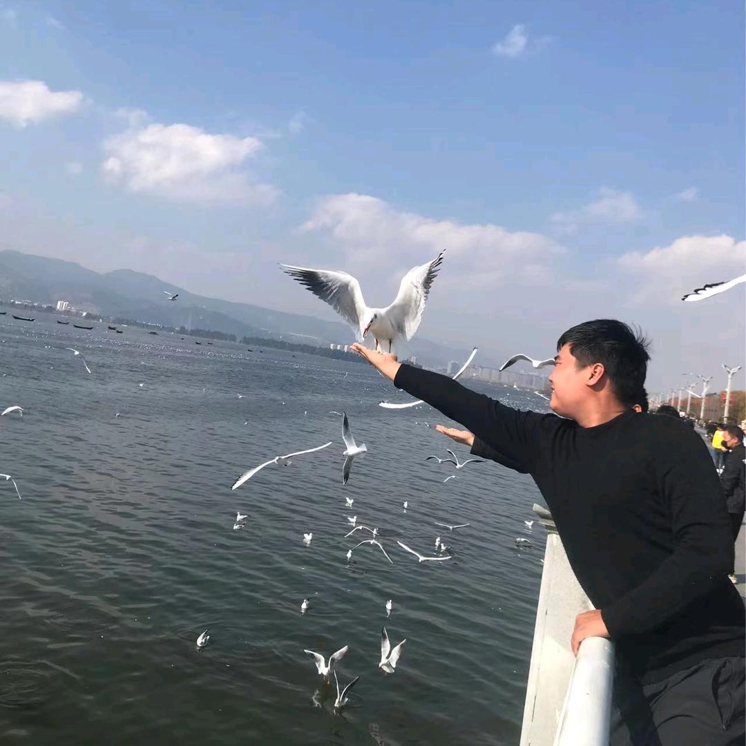 原来那只是一场梦