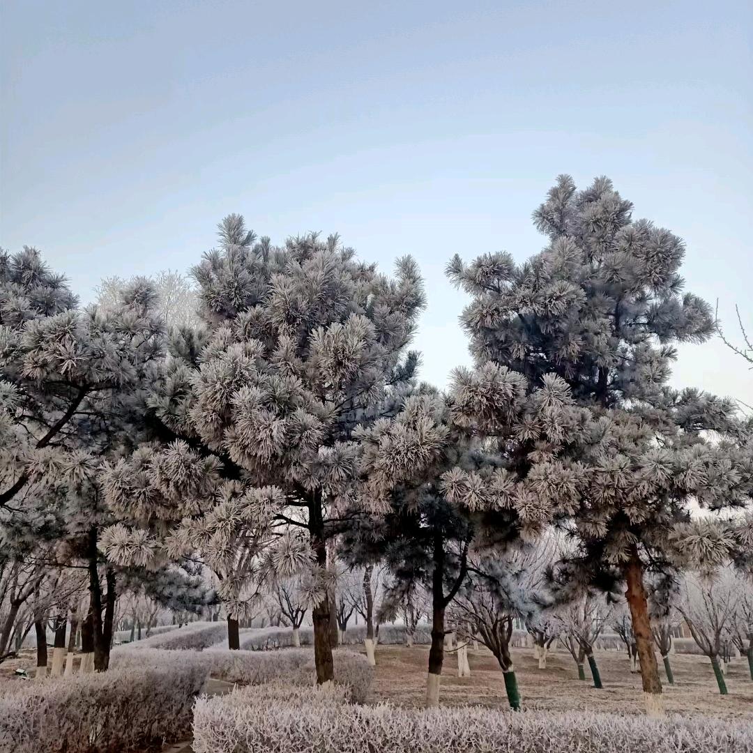 小小小人物
