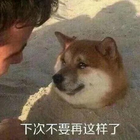 波儿奔
