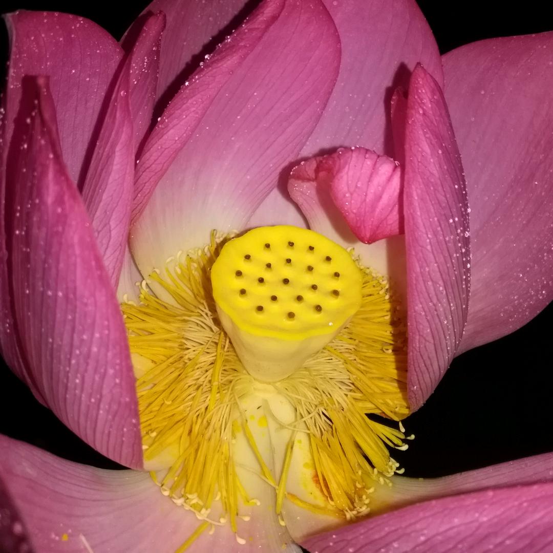 闲逛逛