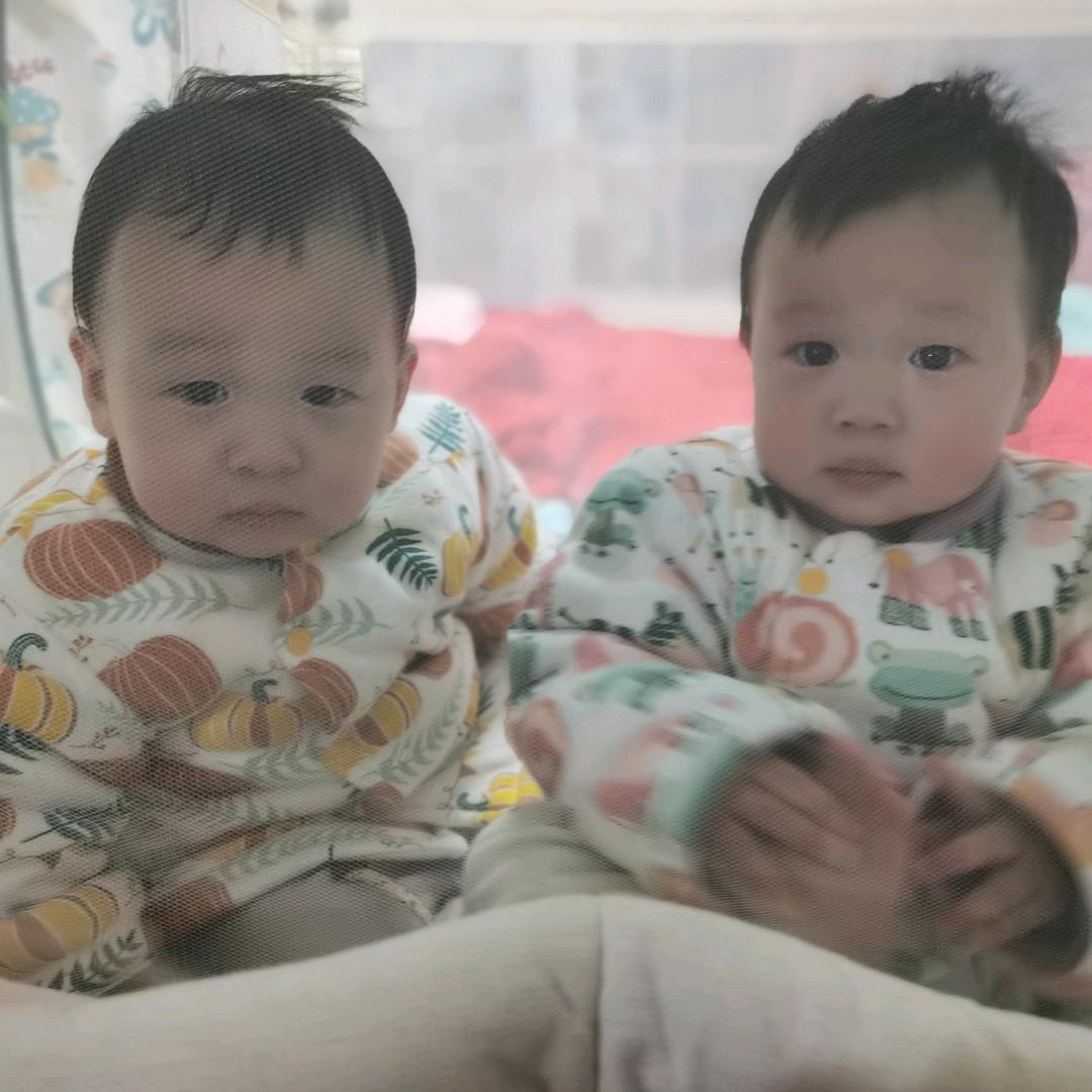 可可和乐乐