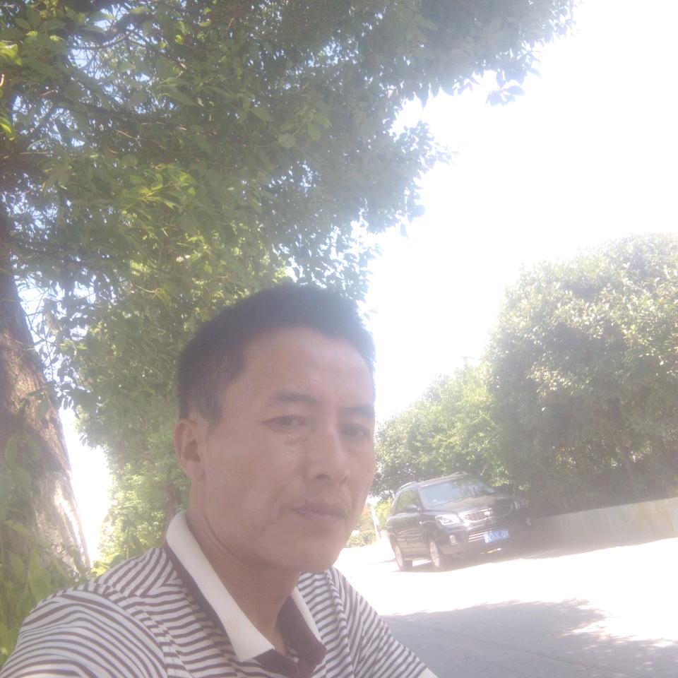 平凡的我