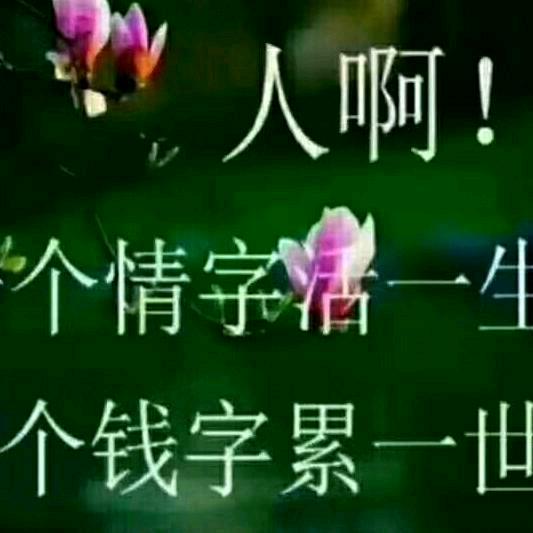 浪子没心情