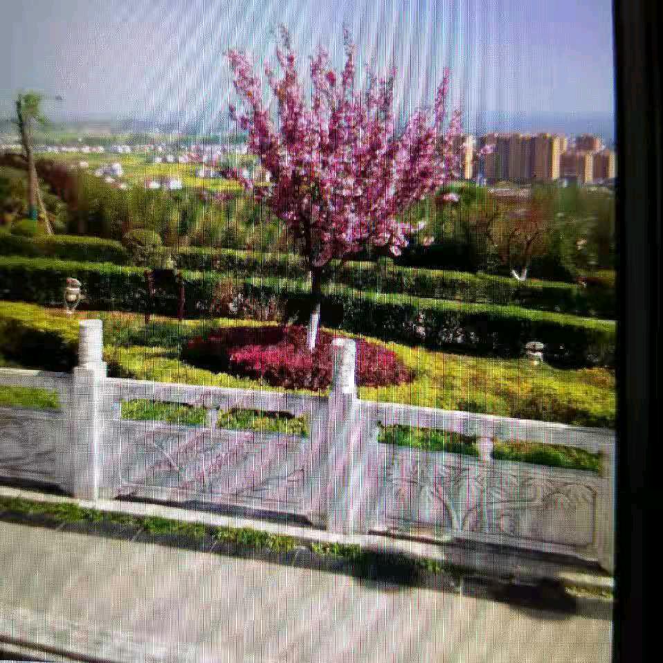 余光