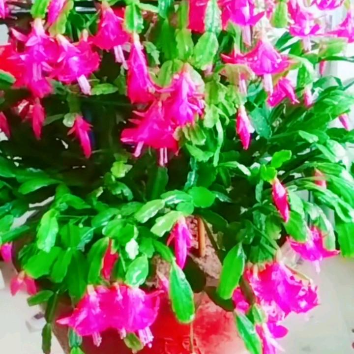 用户8528014930803