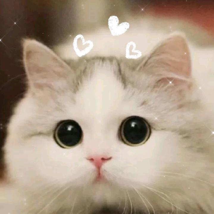 ☑️ 漳浦安利墙 💕原创版