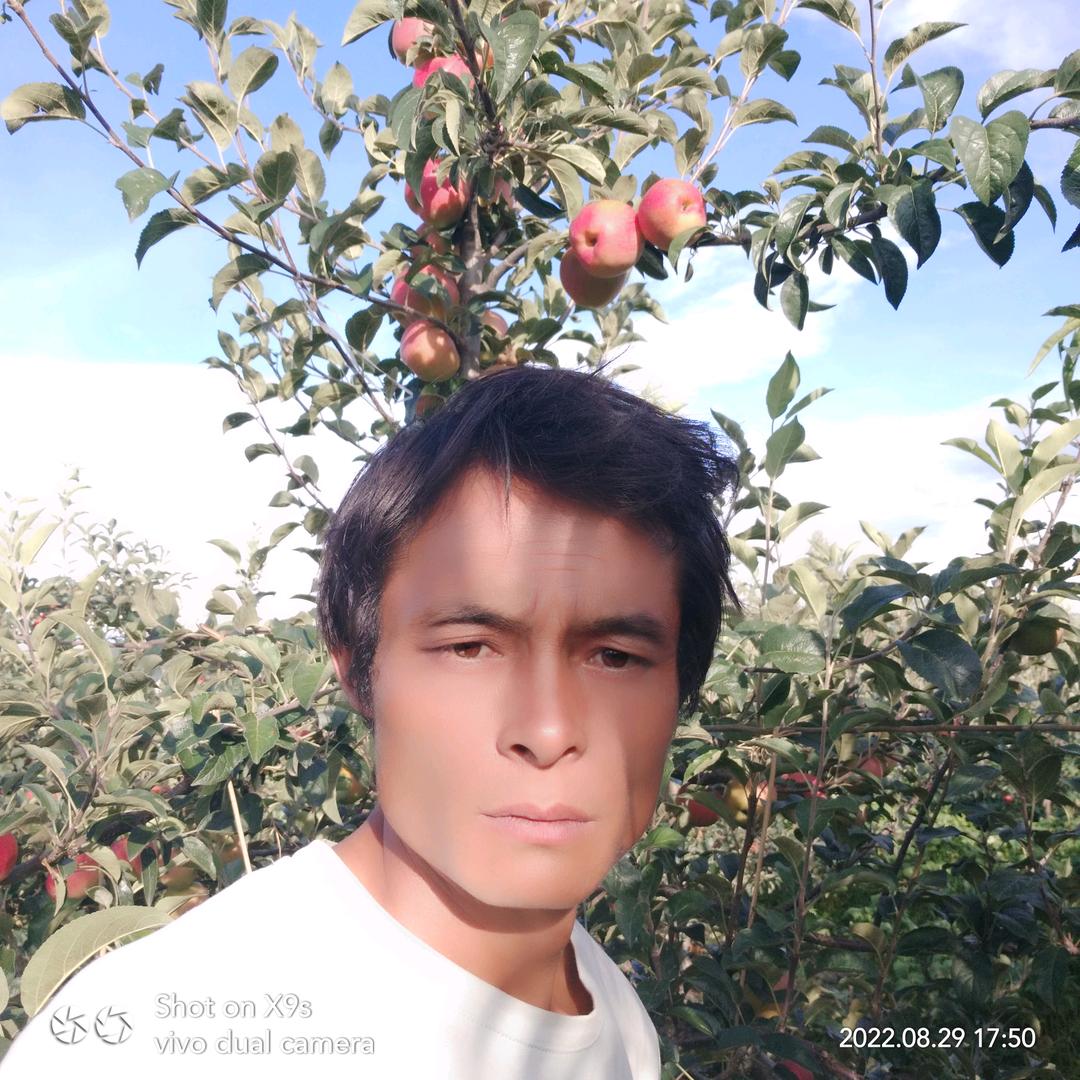 乡里农人(朱洪〉