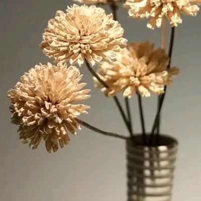 怎样