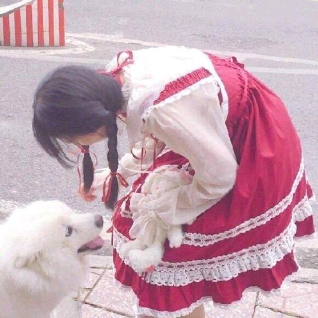蕾蕾