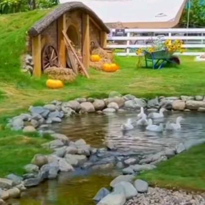 焦导的回村生活