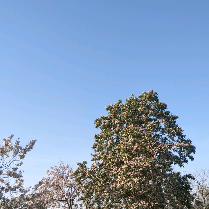 蓝天