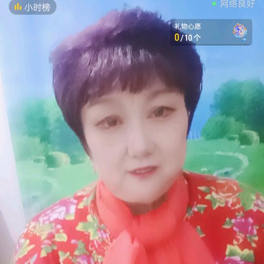 兰英不定时开播