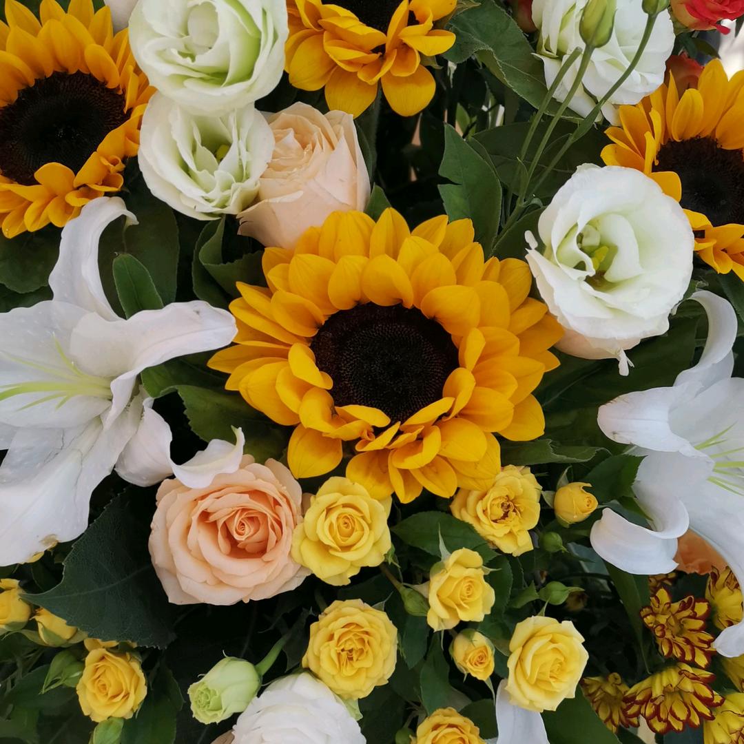 【德尔地板武汉店】梅艳芳菲