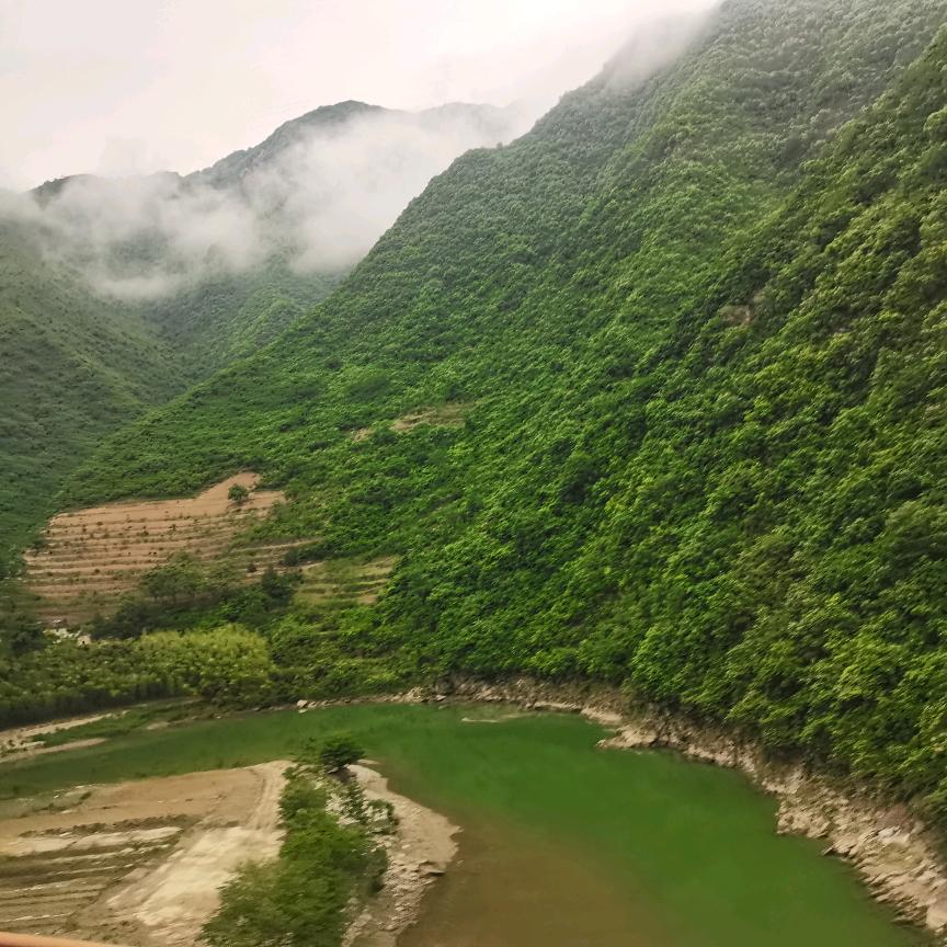 @嗨🌊呯