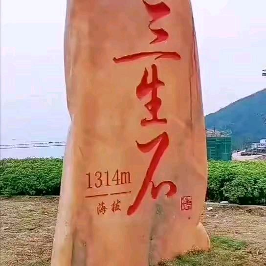 匆匆那年