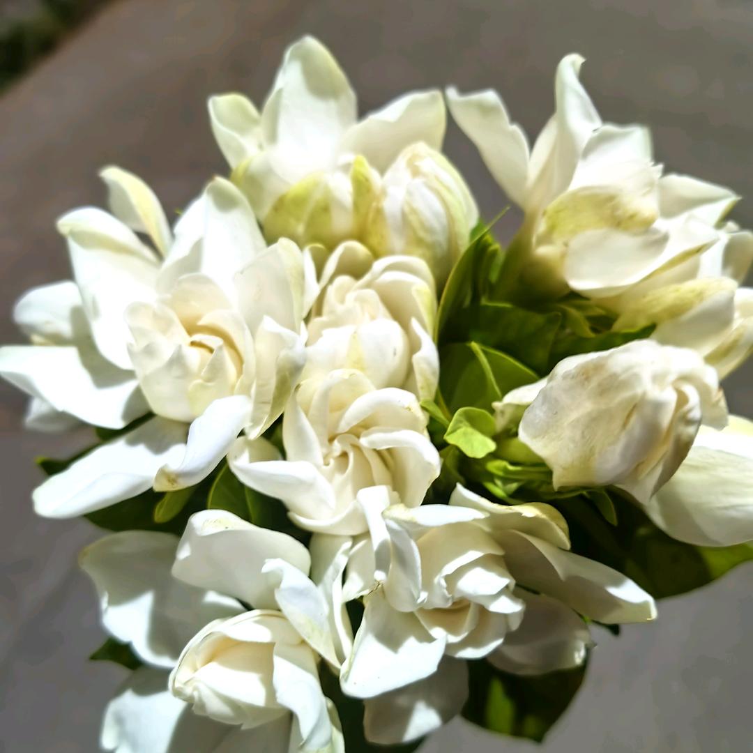 等壹个人咖啡