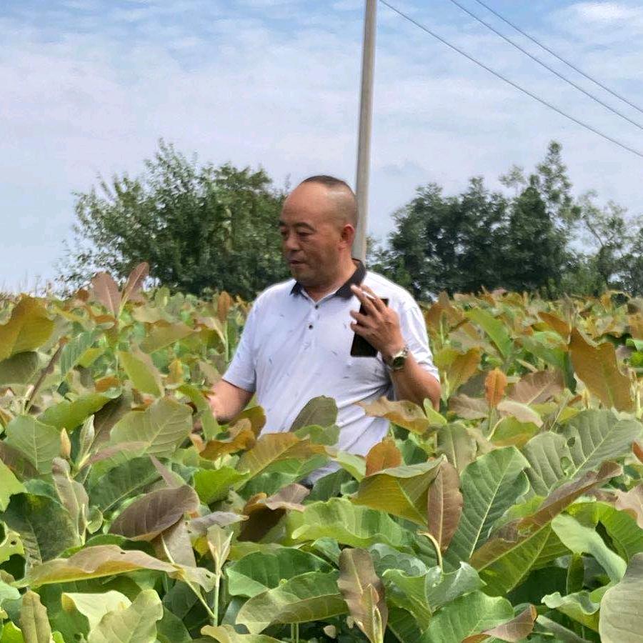 利川众森苗木