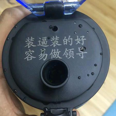 倔强的黄瓜