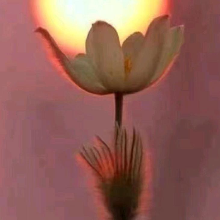 尼桑