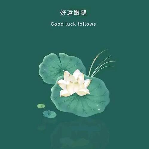 聚缘阁@