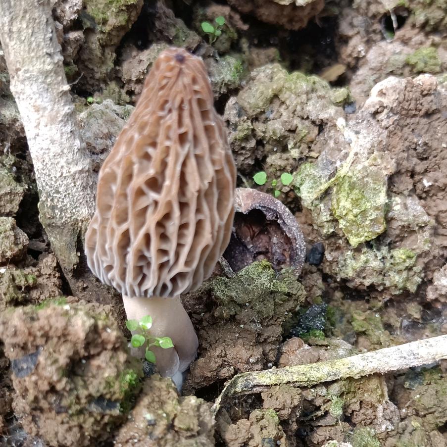 🐒¹².₂₁徐℘࿐