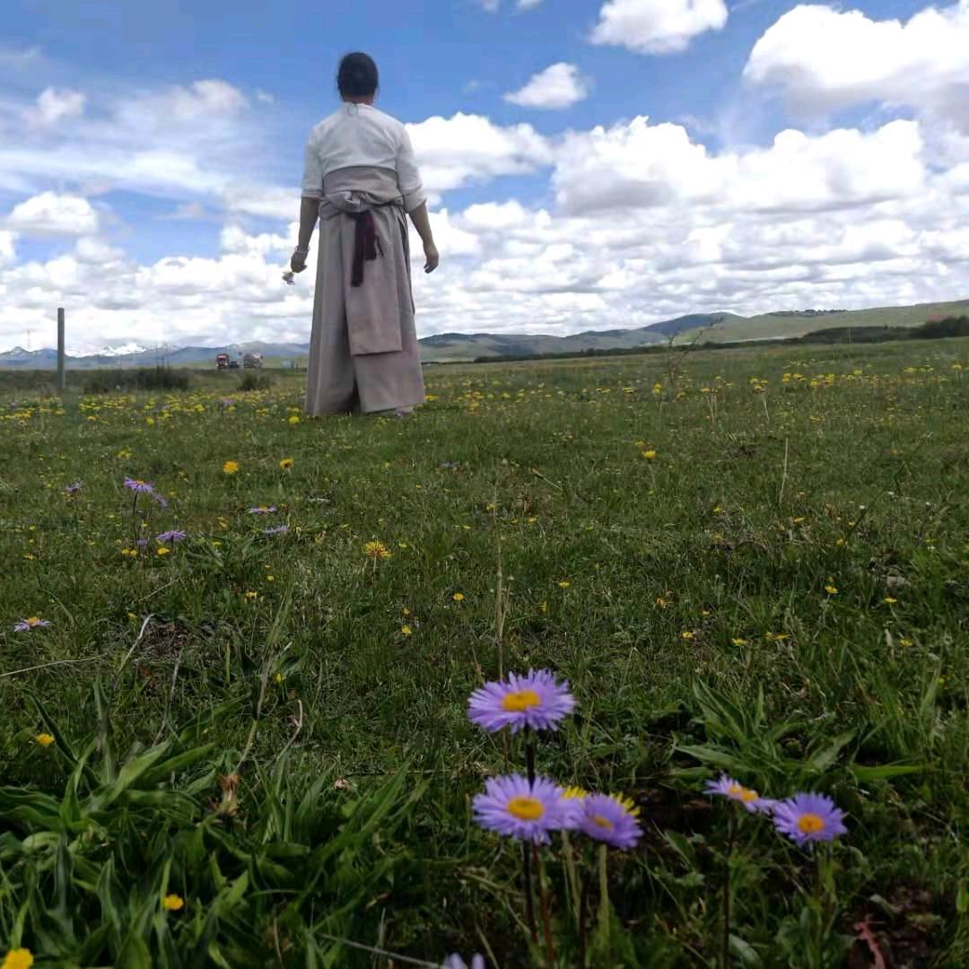 雪莲花（手机摄影）