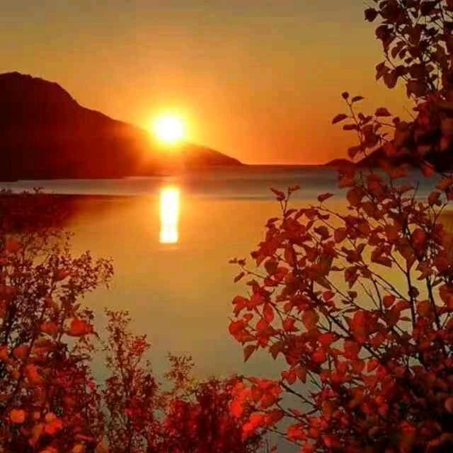 用户9711659730690花好月圆