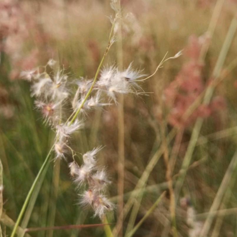 全部都有走，快点