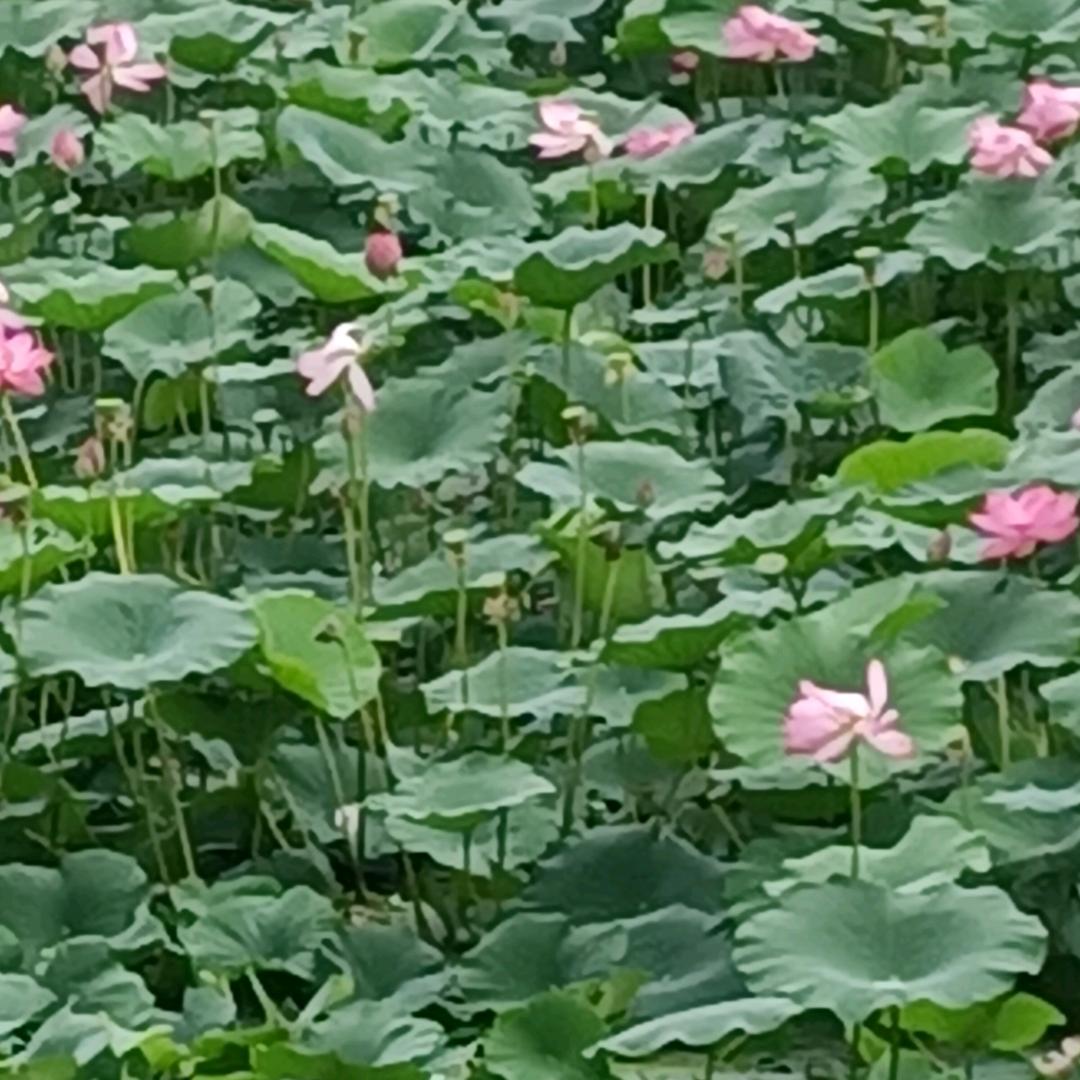 、