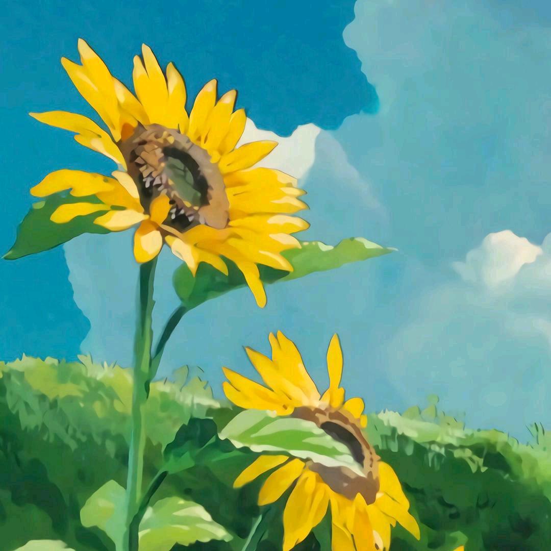 解元峰生活日常