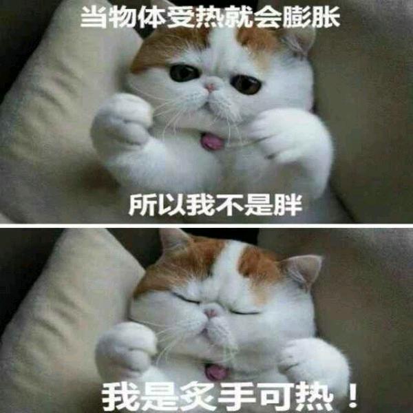 我是普通村民