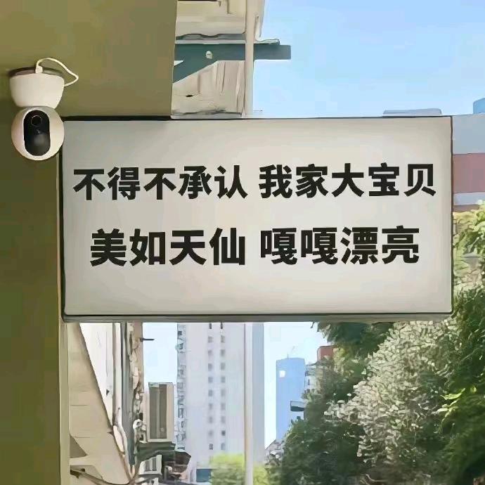 乌鸦坐飞机