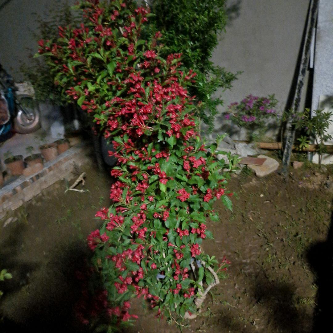 清晨123
