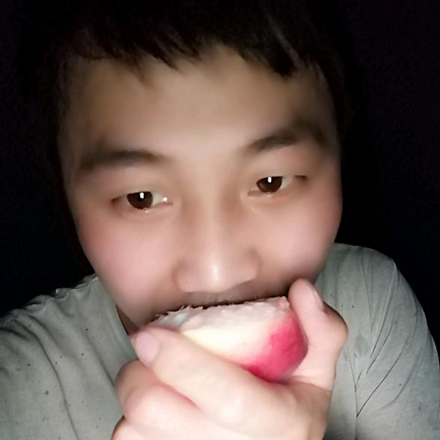 盖子