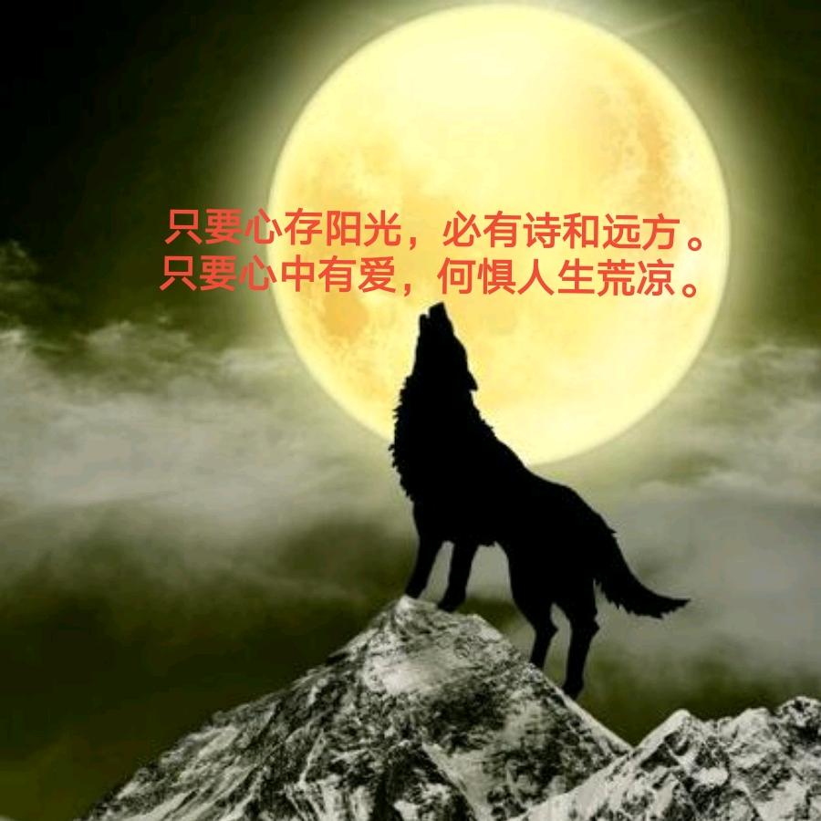 狼老🐺无神