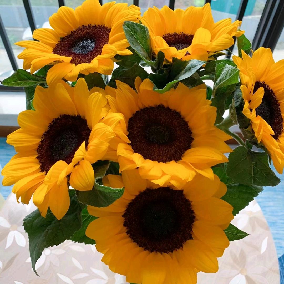 🌈洋县大菜市场火腿肠加工店🌺