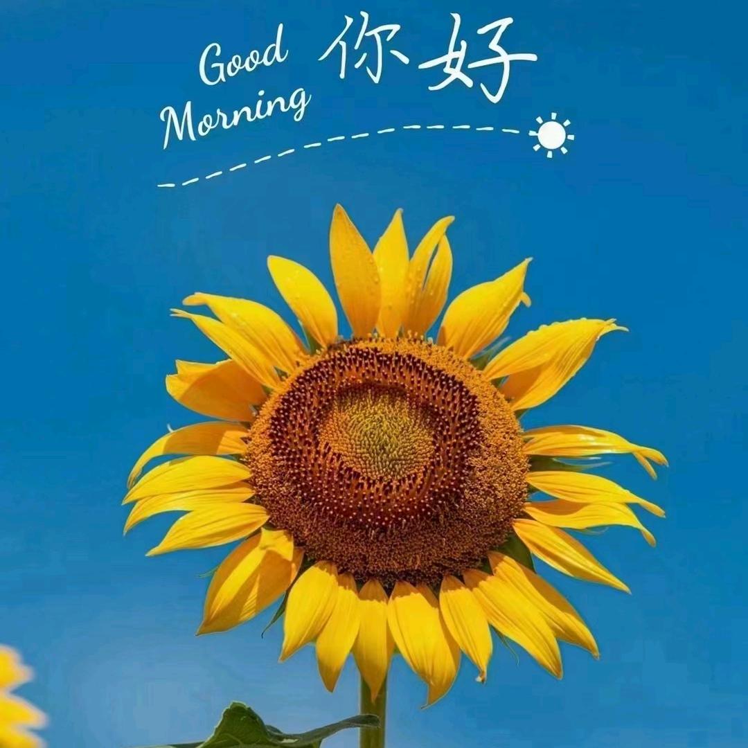 用户7581062206595