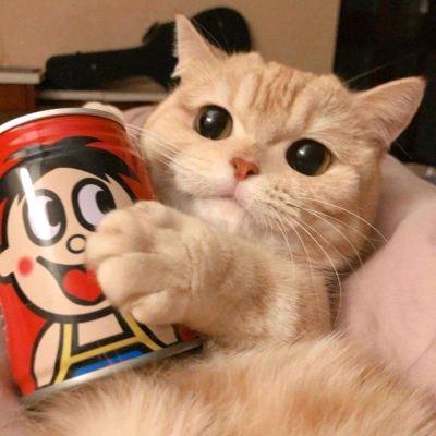 悍匪不冲b（三角洲无脑猛攻队上士）