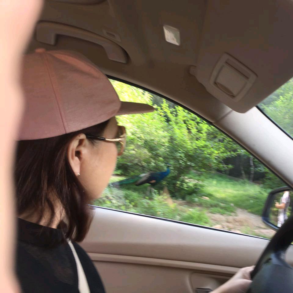 里南