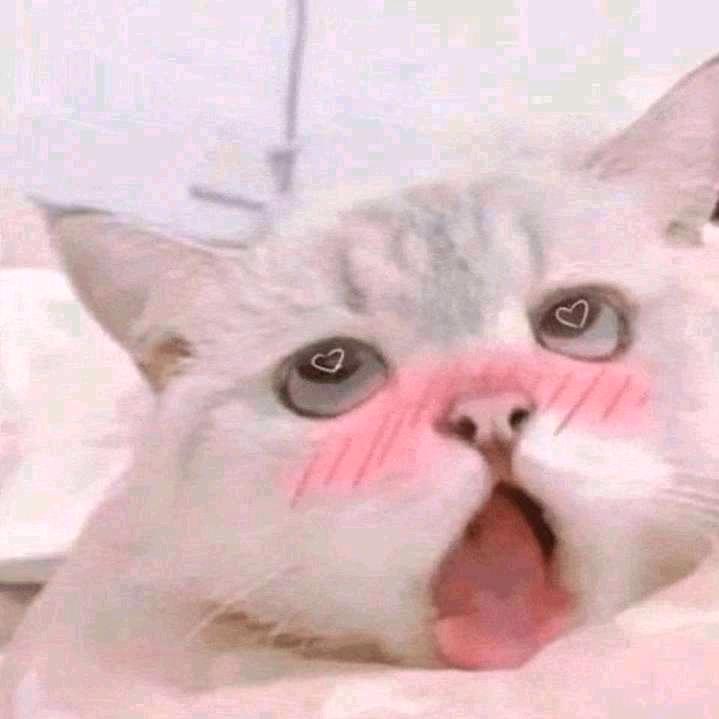 净夏