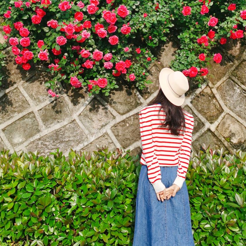 @晓晓