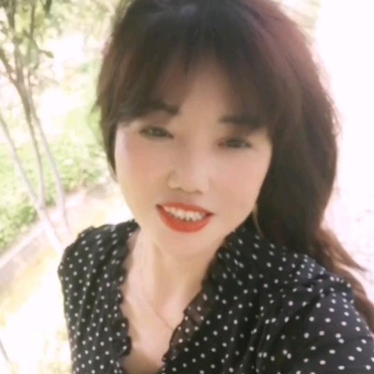 杨红
