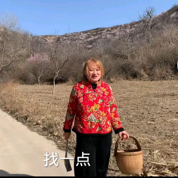 农村燕子