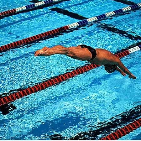 🐬爱游泳的小海豚